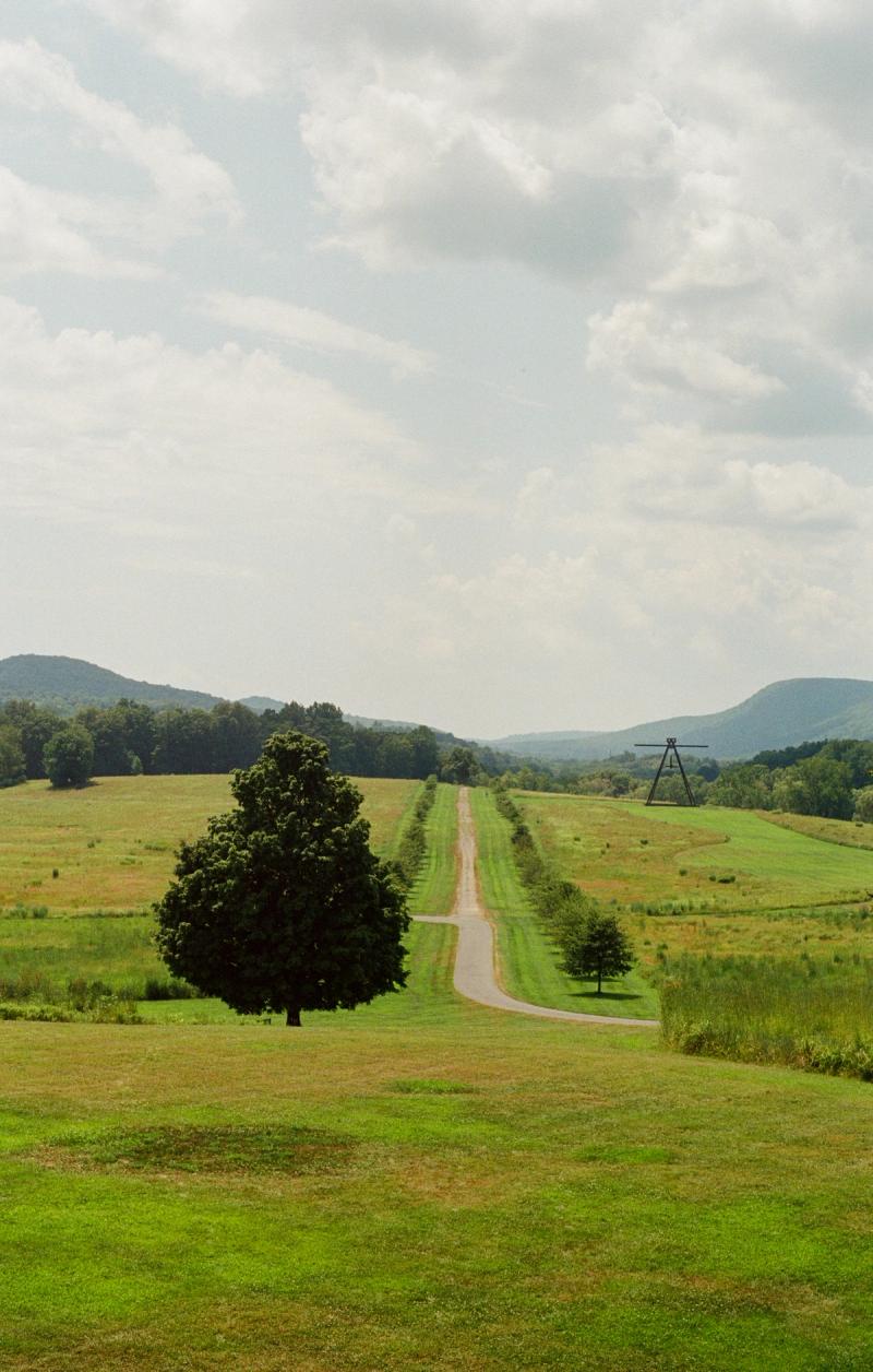 A strip of road stretches towards the horizon, with a tree in the foreground.