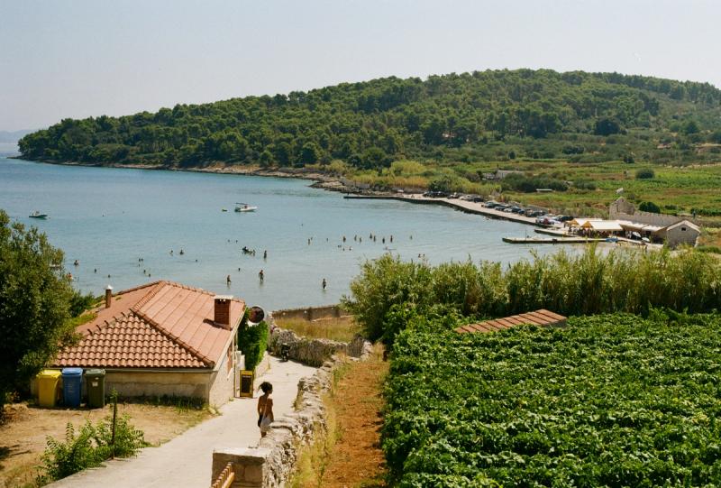 A woman walks down a path to the beach, surrounded by a seaside vineyard and a short building.