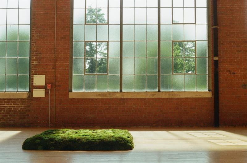 A patch of grass sits underneath a brick wall with a large set of windows.