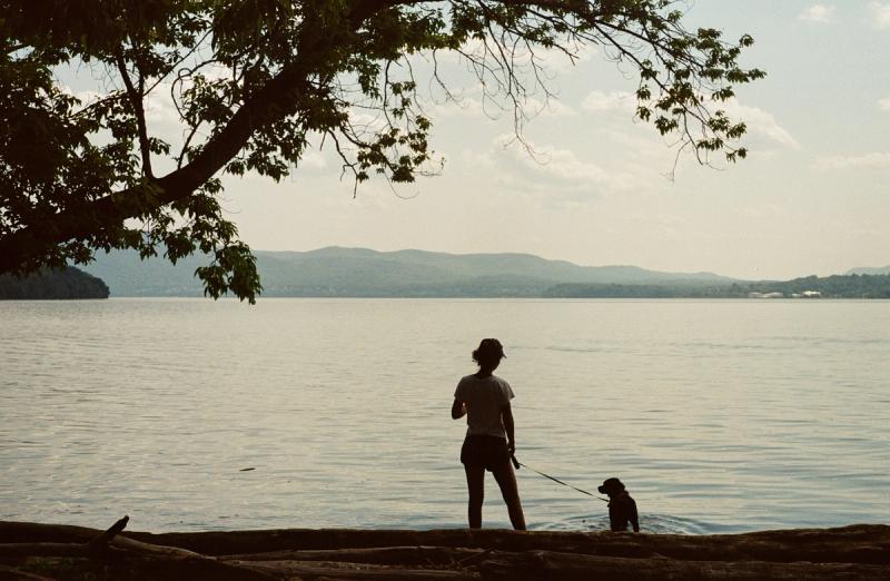 A woman and dog stand at the edge of a river, shaded by a tree branch.