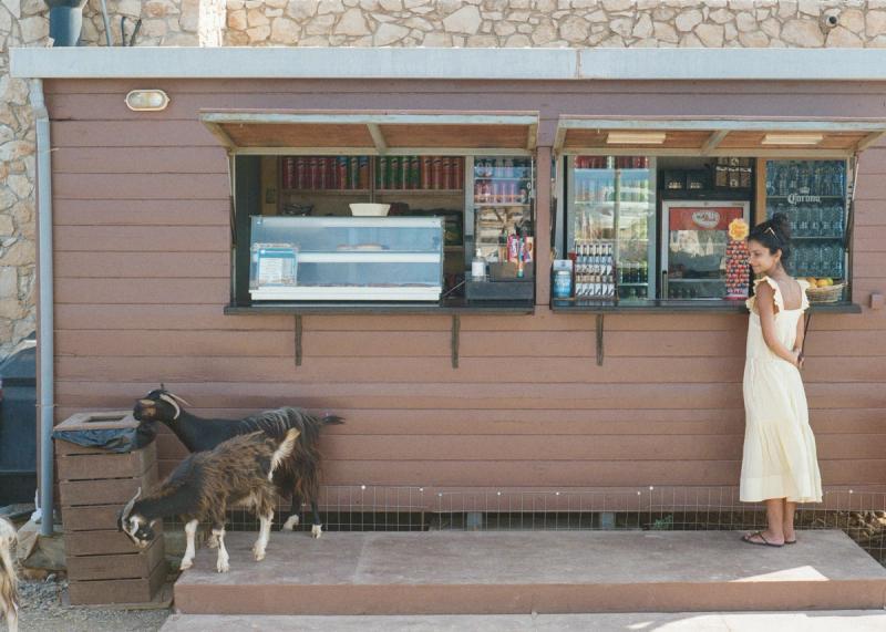 A woman at a convenience store window stares at two goats grazing near the trash cans.